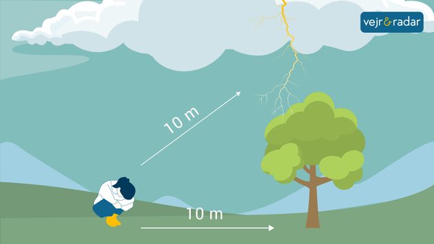 lyn træ farligt