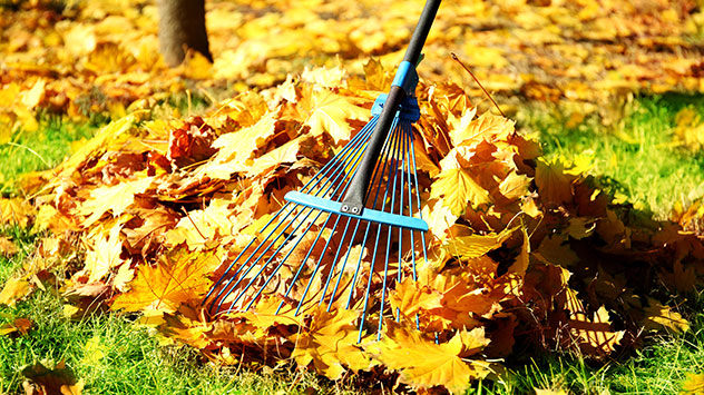 Herbstlaub zusammenkehren