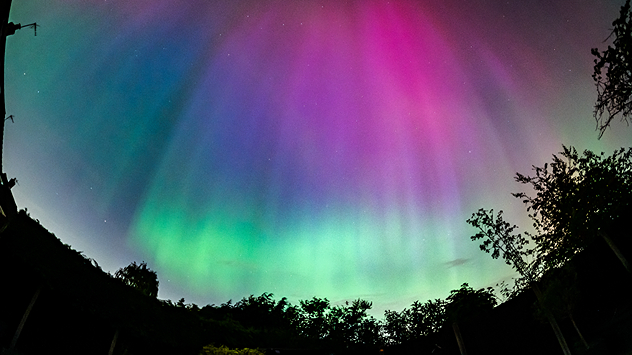 The night sky glows with vivid aurora colours, showing bright green bands near the horizon blending into purple and pink streaks higher up. Dark silhouettes of trees frame the bottom of the scene.
