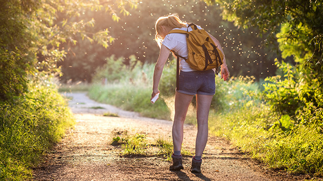Eine Frau wird bei einem Spaziergang im Wald von Mücken geplagt