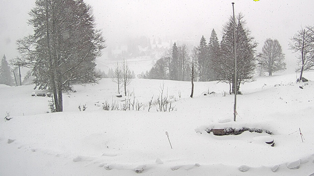 1ef4431c-8d0e-68c6-8215-d1660c70930b - © Emmendinger Hütte Rund um den Feldberg reichlich Schnee