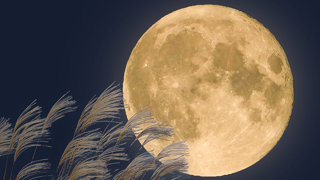 Fuldmåne på himlen