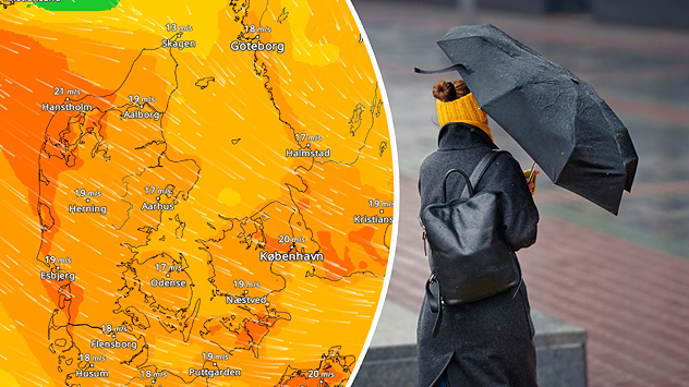 VindRadar over Danmark med kraftig vind kombineret med foto af person med paraply i blæsevejr.