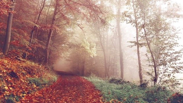 automne