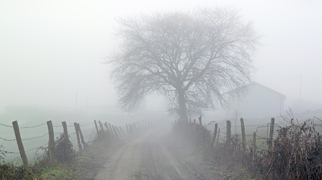 fog