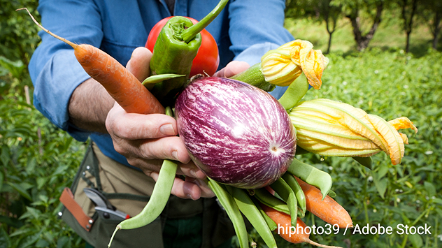 Marzo marca el inicio real de la primavera en España y es uno de los meses más importantes para la siembra, con el aumento progresivo de las temperaturas y las horas de luz. 