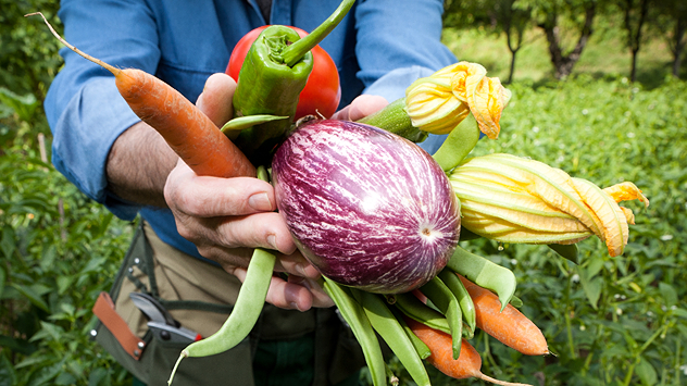 Marzo marca el inicio real de la primavera en España y es uno de los meses más importantes para la siembra, con el aumento progresivo de las temperaturas y las horas de luz.