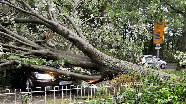 Der Rekordregen von Münster