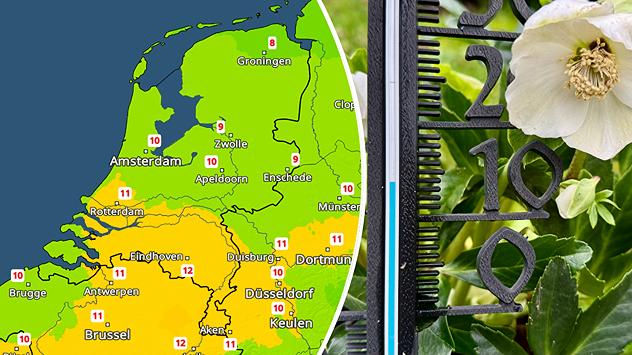 Twee afbeeldingen met links de TemperatuurRadar van Nederland met 8 tot 12 graden daarop van noord naar zuid. Rechts een ingestuurde foto van een thermometer rond de 12 graden en een bloeiende bloem door het zachte weertype.
