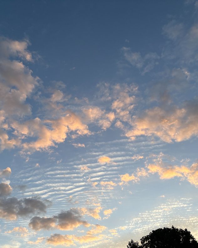 Rippled altocumulus cloud bands and scattered clouds glowing peach and gold at sunset against a blue evening sky above silhouetted treetops.