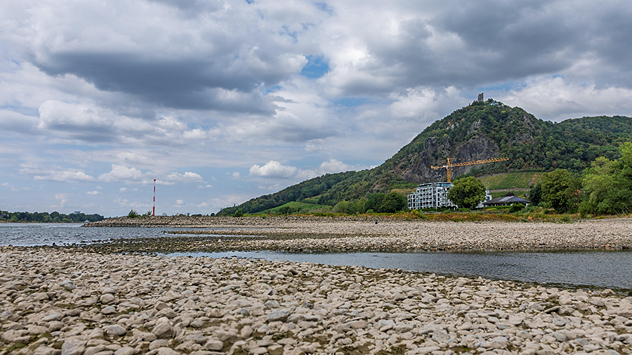 Breites, trockenes Flussbett mit freiliegenden Kiesflächen am Rhein bei Königswinter. Im Hintergrund sind der Drachenfels und bewaldete Hänge zu sehen.