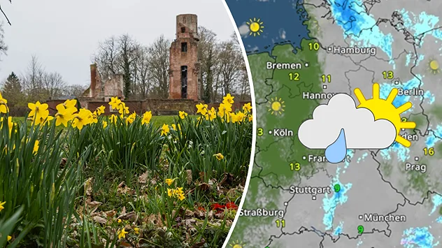 Geteilte Grafik: links blühende Narzissen vor einer Burgruine auf Rügen, rechts eine WetterRadar-Karte von Deutschland mit Sonne-Wolken-Regen-Symbol.