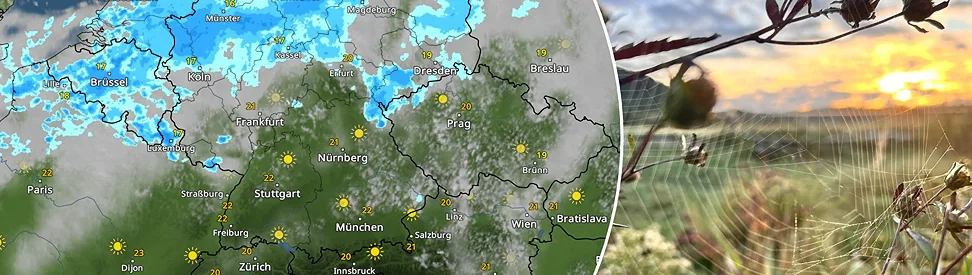 WetterRadar und Spinnennetz
