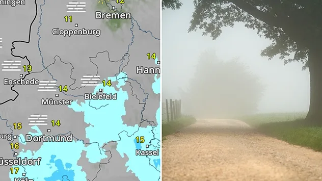 WetterRadar mit Nebelsymbolen in Teilen Nordwestdeutschlands neben einer Straße in dichtem Nebel.