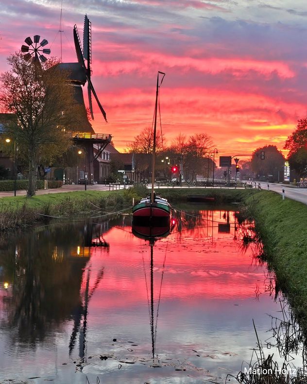 Roter Morgenhimmel mit Windrädern und dunkler Baumreihe im Vordergrund.