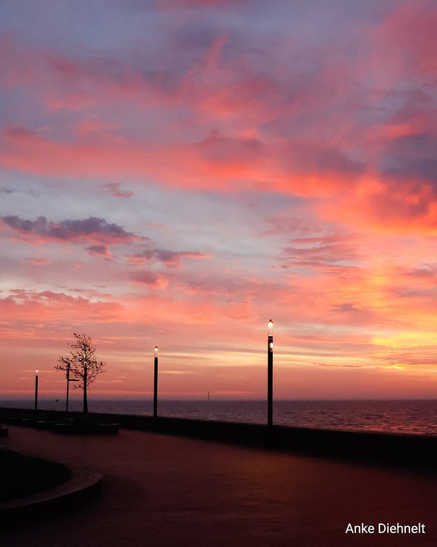 Bunte Morgendämmerung über dem Meer mit Laternen und Baum an der Promenade.