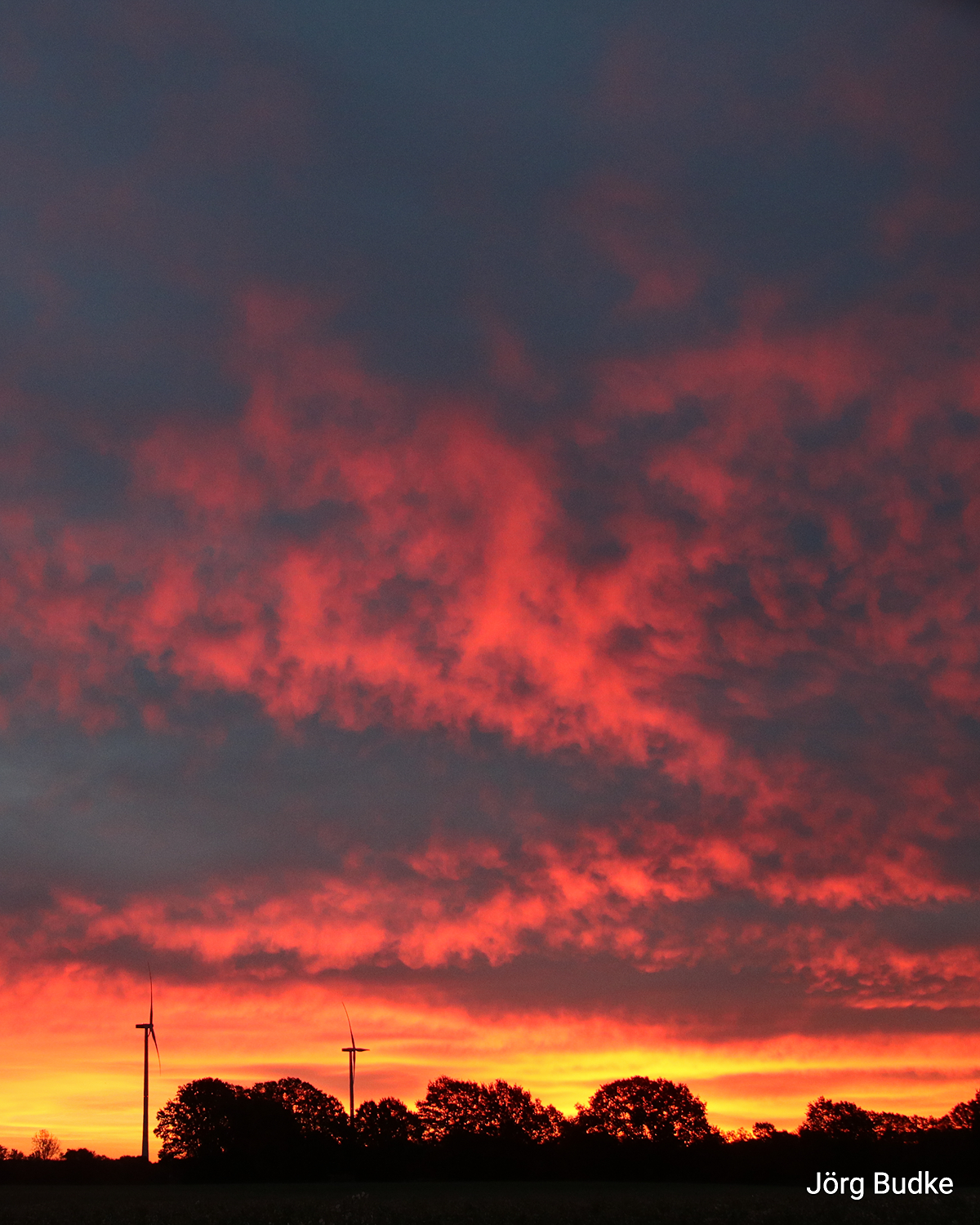 © Jörg Budke Roter Morgenhimmel mit Windrädern und dunkler Baumreihe im Vordergrund.