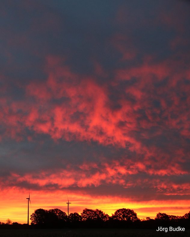 Roter Morgenhimmel mit Windrädern und dunkler Baumreihe im Vordergrund.