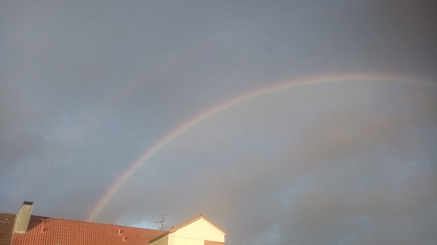 Regenbogen Neumünster