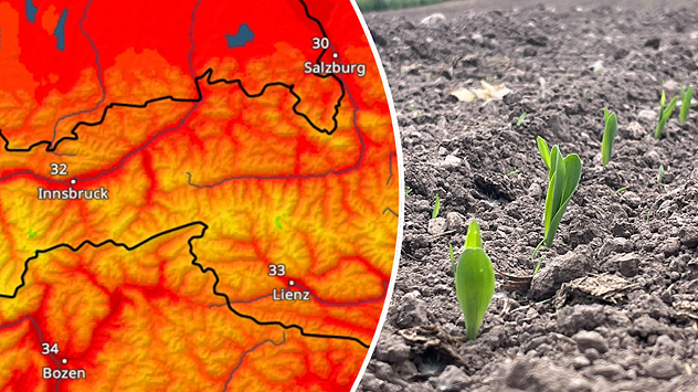 Splitbild: Links eine Wetterkarte von Österreich mit Temperaturen - rechts ein trockener Acker