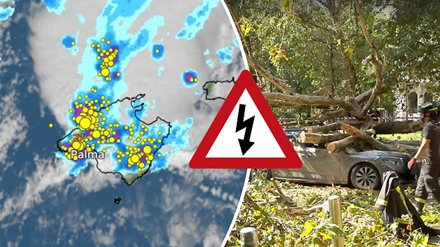 Op La Palma trekken talrijke onweersbuien over het eiland. De vele bliksemsymbolen op de radar- en bliksemkaart laten zien dat er in grote delen van het eiland hevig wordt geflitst. Vooral in het binnenland en in het zuiden ontladen de onweersbuien zich. Rechts zien jullie de gevolgen: een grote omgevallen boom heeft een auto onder zich begraven. Hulpdiensten ruimen de schade op. Met de onweersbuien kunnen dus niet alleen hevige regenval, maar ook windvlagen een probleem vormen.
