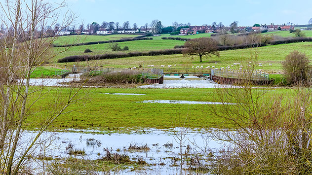 Noch teils überflutete Wiesen