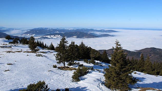 Das Bild zeigt den Blick über den nebelgefluteten Attersee.