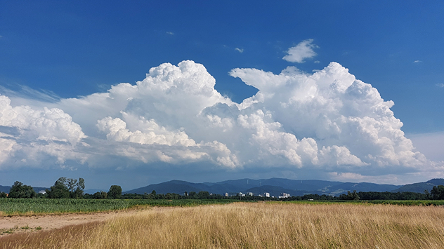 © Niels Lemke Große weiße Quellwolken über Feldern und Wiesen, im Hintergrund Hügel und Wälder.