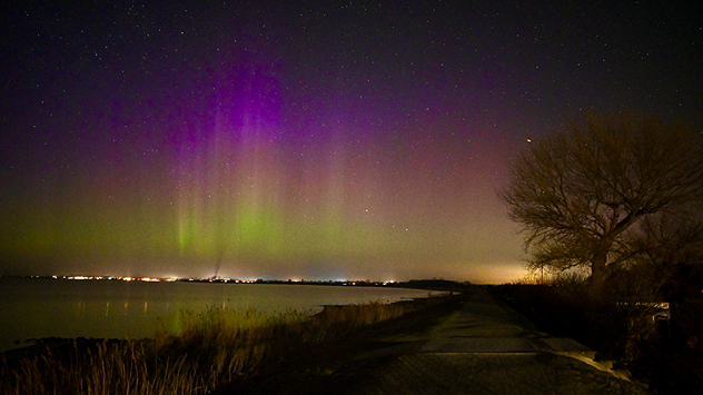 Polarlicht in Grün und Violett Straße entlang der Küste Baum und Wasser im Vordergrund