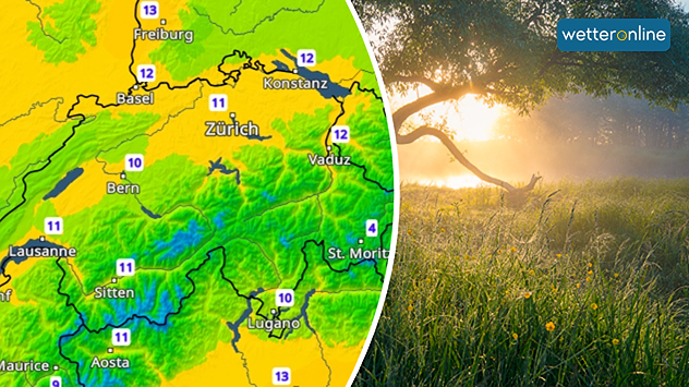 Morgensonne über einer Wiese neben dem TemperaturRadar mit milden Nachtwerten.