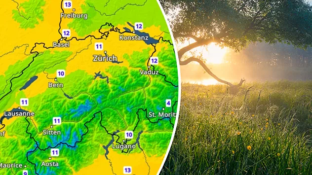 Morgensonne über einer Wiese neben dem TemperaturRadar mit milden Nachtwerten.