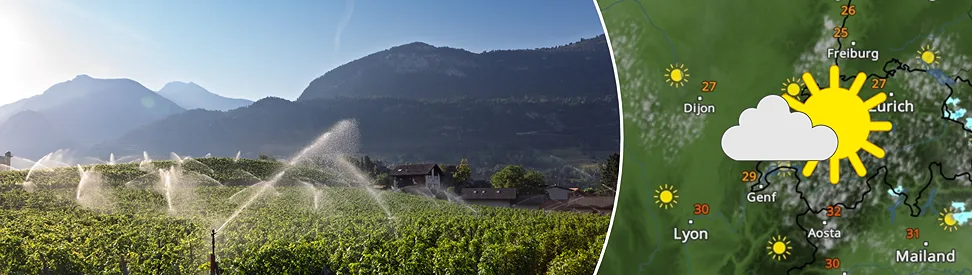 Links: Sonnige Weinberge werden von mehreren Sprinklern bewässert. Im Hintergrund liegen Häuser und bewaldete Berge unter einem klaren blauen Himmel. Rechts: Wetterkarte von der Schweiz zeigt ein paar Quellwolken und viel Sonne.
