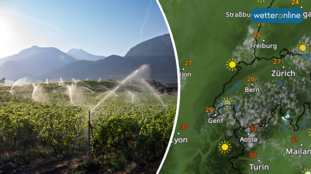 Links: Sonnige Weinberge werden von mehreren Sprinklern bewässert. Im Hintergrund liegen Häuser und bewaldete Berge unter einem klaren blauen Himmel. Rechts: Wetterkarte von der Schweiz zeigt ein paar Quellwolken und viel Sonne.