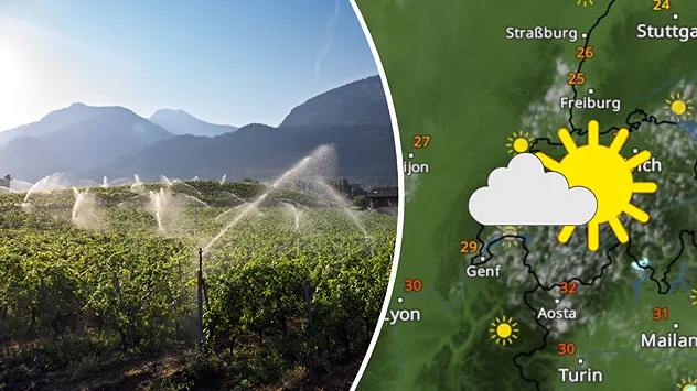 Links: Sonnige Weinberge werden von mehreren Sprinklern bewässert. Im Hintergrund liegen Häuser und bewaldete Berge unter einem klaren blauen Himmel. Rechts: Wetterkarte von der Schweiz zeigt ein paar Quellwolken und viel Sonne.