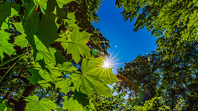 So sieht der Frühsommer in Nordhessen aus: Sattes Grün und ein makellos blauer Himmel.