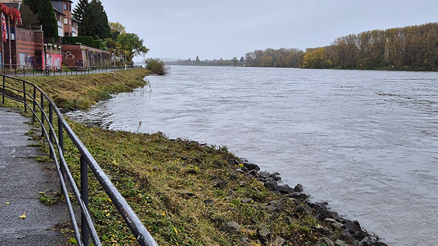 Gut gefüllter Rhein in Bonn