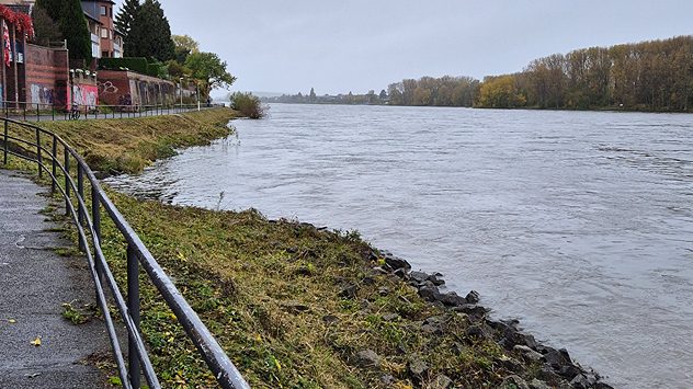 Gut gefüllter Rhein in Bonn (c) WetterOnline