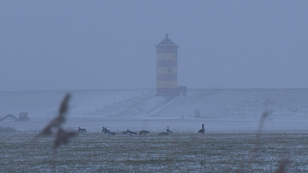 Auch rund um den Leuchtturm von Pilsum an der Nordsee fallen Flocken.
