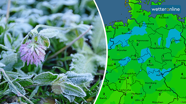 Gefrorene Blätter neben Deutschlandkarte mit niedrigen Temperaturen und Frostgefahr.