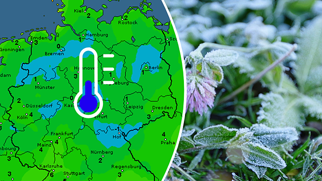 Wetterkarte mit Frostsymbol und Temperaturen sowie gefrorene Pflanzen im Gras.
