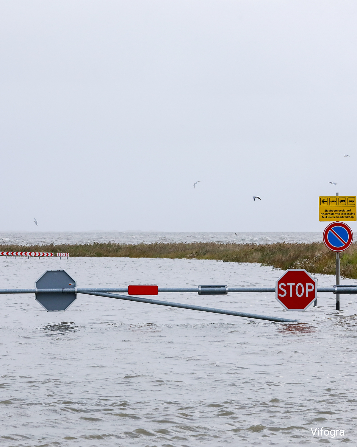 Überflutete Straße mit Stoppschild und Schranke bei Holwert, Wasser reicht bis an die Deichkante, Meer im Hintergrund.