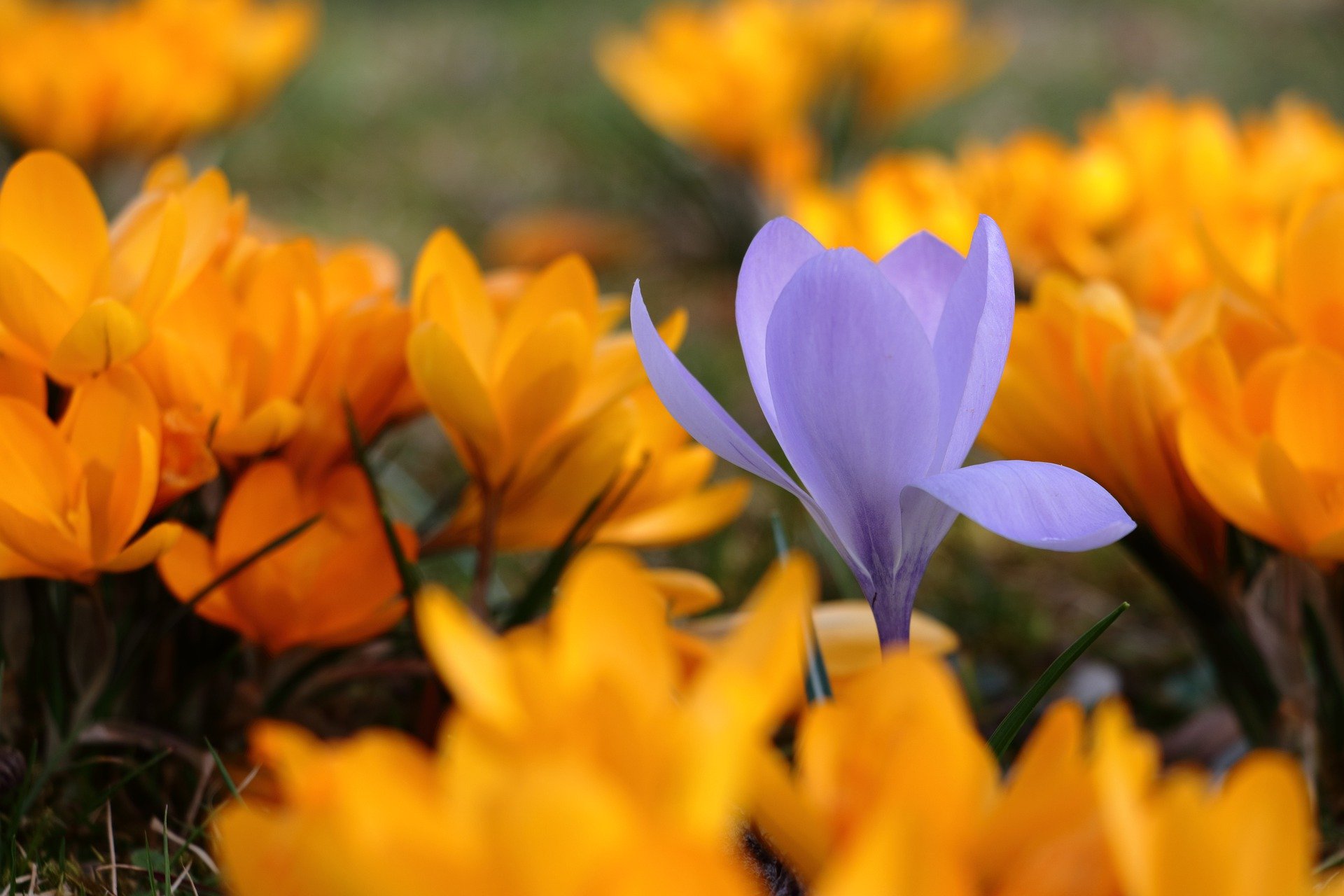 Meteorological spring is here and the days are getting longer – Weather ...