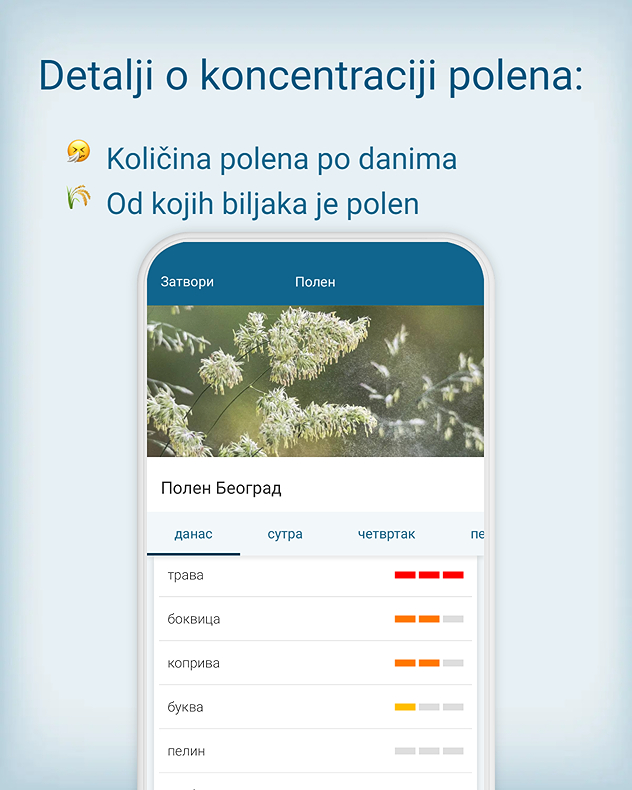 polen4