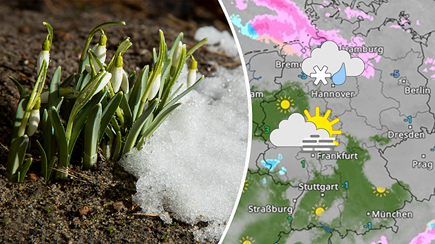 Geteilte Grafik: links Schneeglöckchen, die durch schmelzenden Schnee wachsen, rechts eine WetterRadar-Karte mit wechselhaften winterlichen Symbolen.