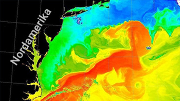Golfstrom Simulation