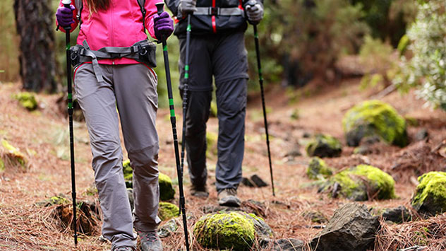 Wenn Sie gerne mit Stöcken wandern möchten, achten Sie beim Kauf auf eine hohe Knick- und Bruchsicherheit.