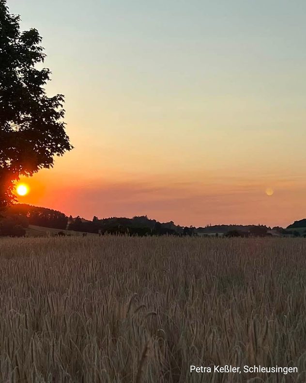 Traumhafte Abendstimmung mit untergehender Sonne auf einem Feld