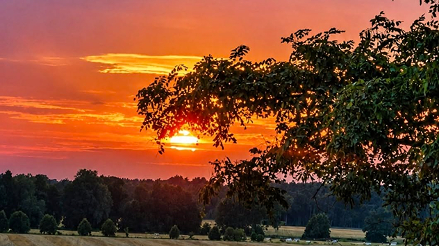 Die Sonne geht an glühendem Himmel unter