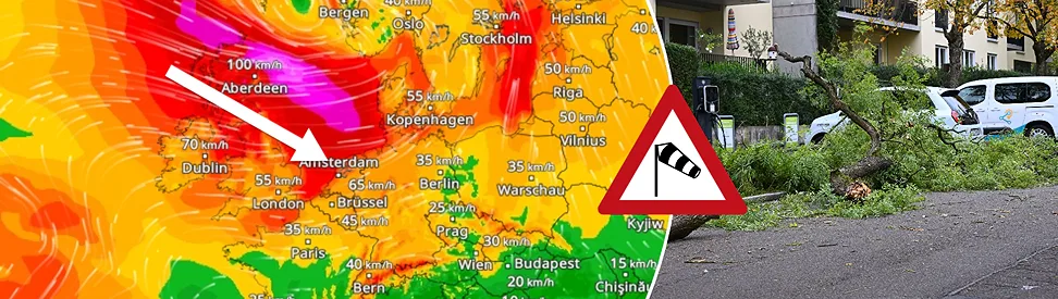 Große Schäden durch umgestürzte Bäume