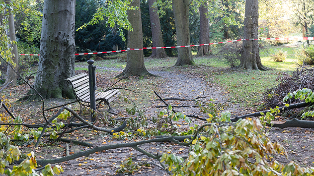 Fallen tree branches and green leaves cover a woodland path beside a bench, with red and white safety tape cordoning off the area.